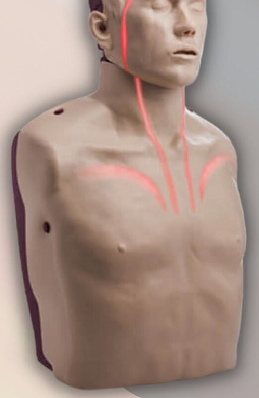 Brayden CPR Mannequin